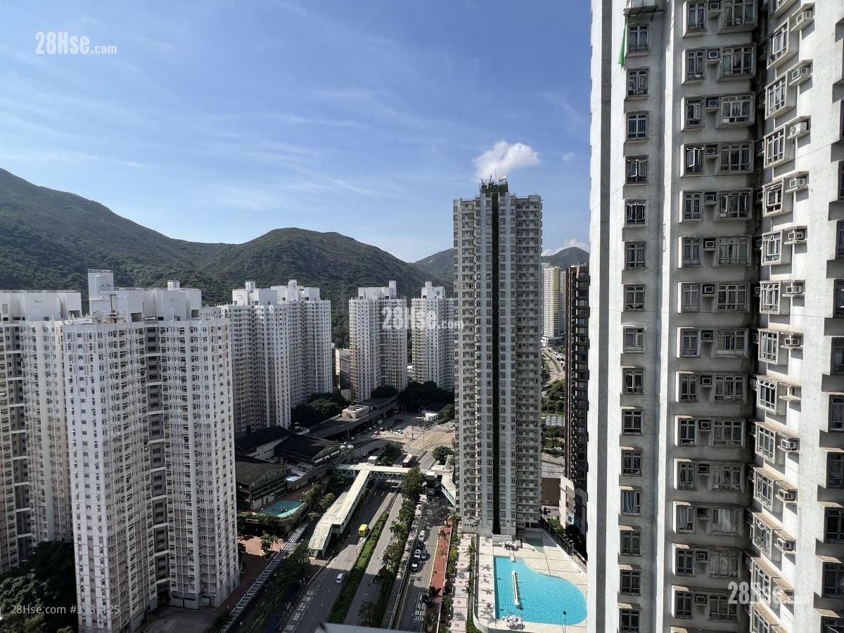 Eight Regency #3931125 Rental Property Detail Page - Fler