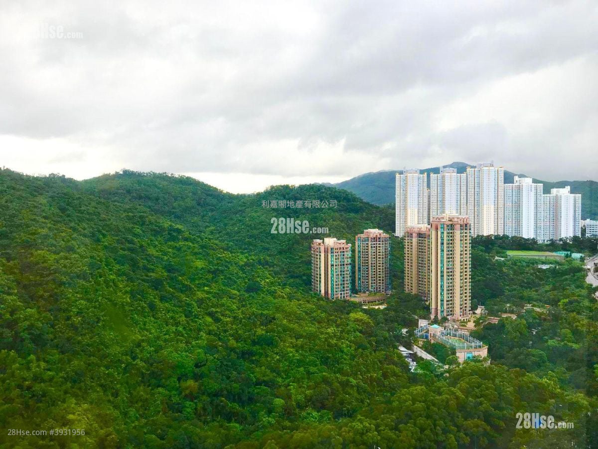 Ching Wah Court #3931956 Rental Property Detail Page - Ansicht 4