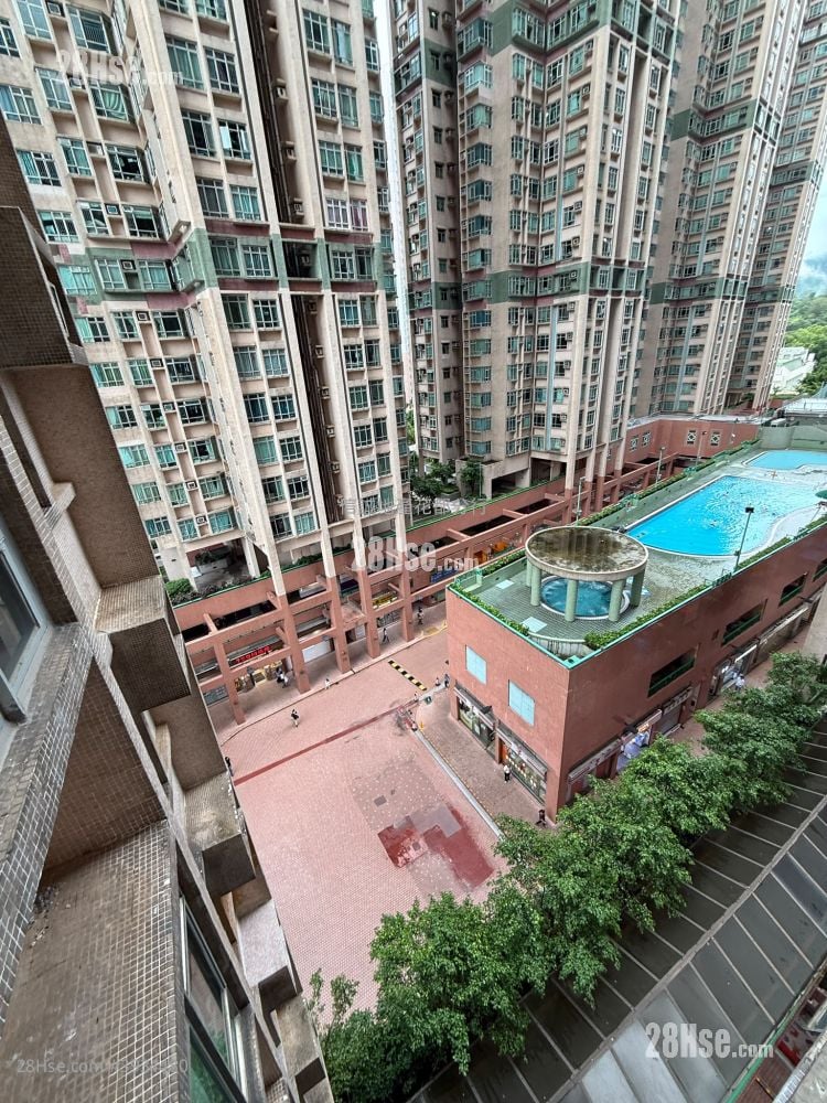 Flora Plaza #3934480 Rental Property Detail Page - Więcej