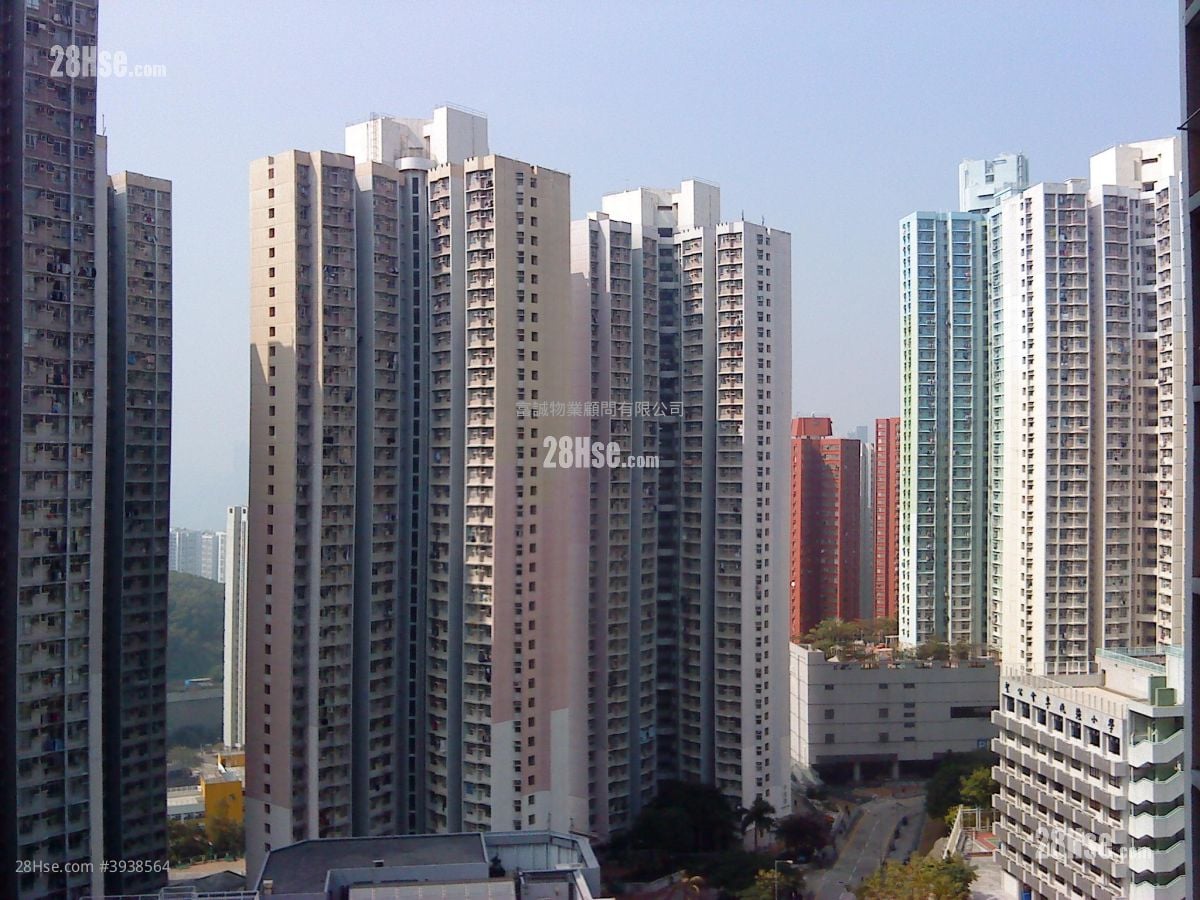 Hong Nga Court #3938564 Rental Property Detail Page - Vista 3