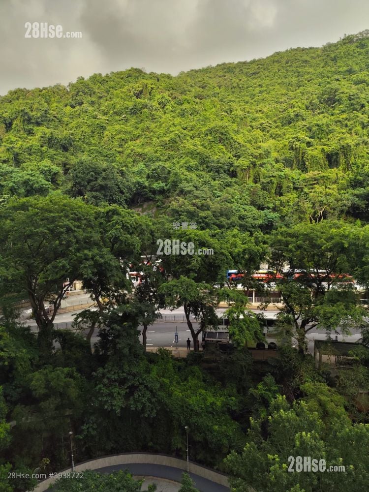 Academic Terrace #3938722 Rental Property Detail Page - Widok 2