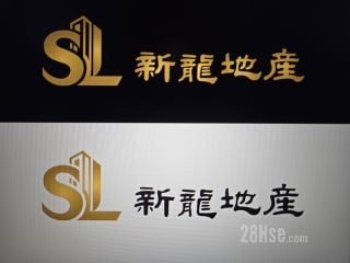 新龙地产