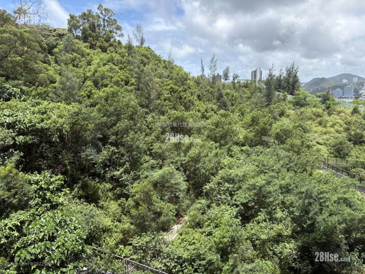 Koko Hills #3922985 Rental Property Detail Page - Aanzicht 5