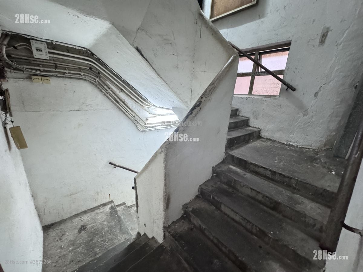 303 Yu Chau Street #3679266 Rental Property Detail Page - Bild 6