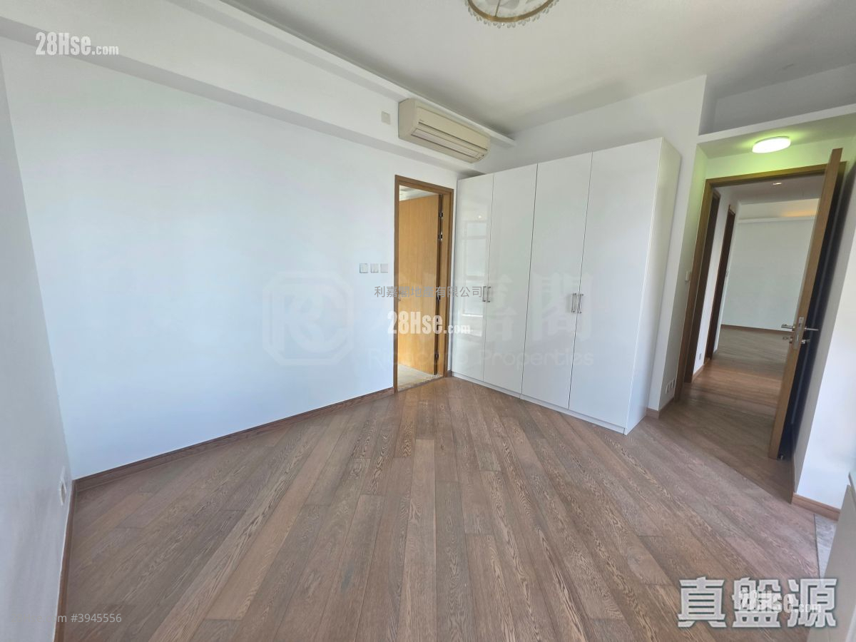 Vibe Centro #3945556 Rental Property Detail Page - Vista 3