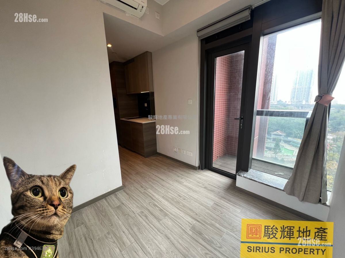 Harbour Park #3946365 Rental Property Detail Page - Widok 6