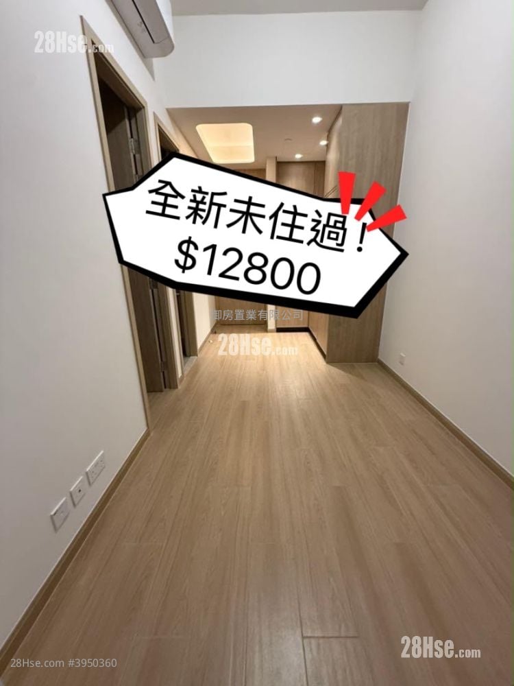 朗天峰 租盤 1 房 292 平方呎