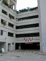 Golden Lion Garden Sell