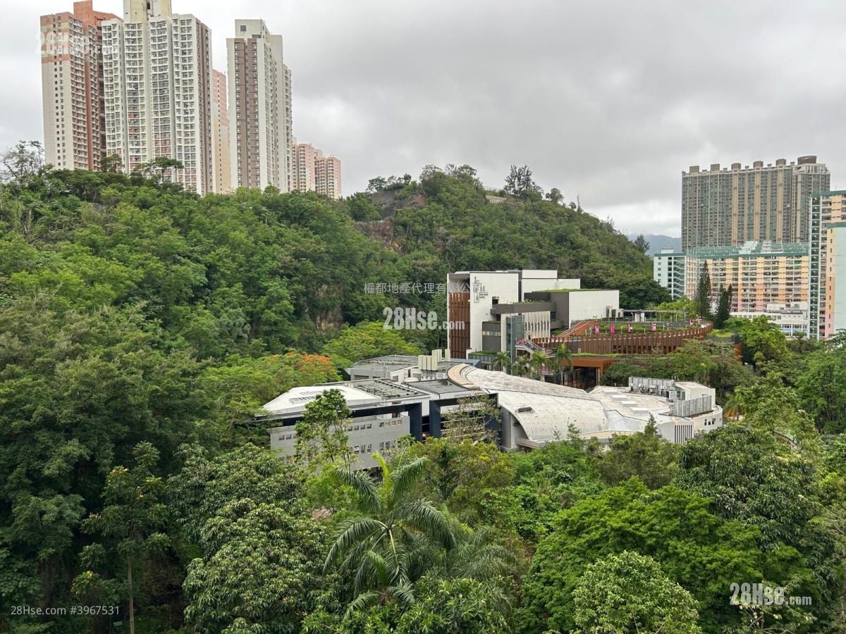 26 Ko Shan Rental 1 Bedroom , 1 Bathroom 267 ft²