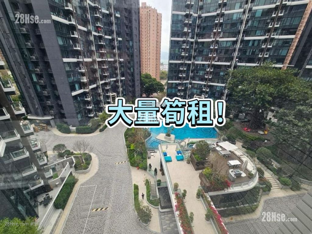 帝御 租盘 344 平方尺