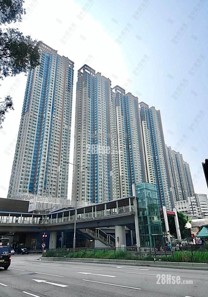 Festival City Rental 4 Bedrooms , 3 Bathrooms 959 ft²
