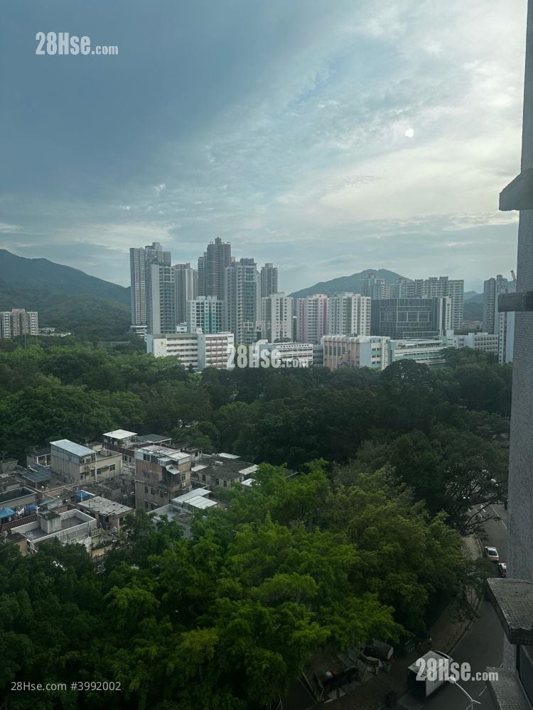 Sheungshui Town Center Sell 2 Bedrooms , 1 Bathroom 376 ft²