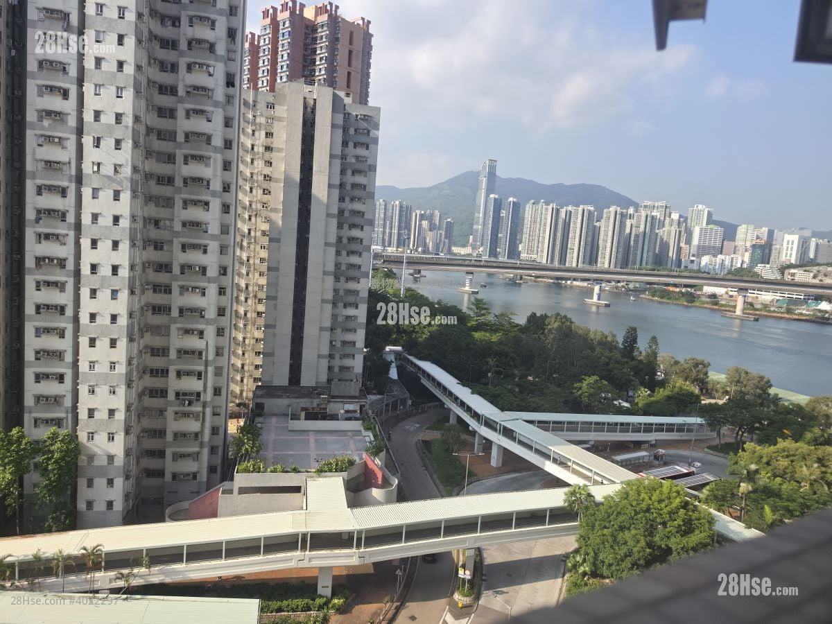翠怡花园 租盘 2 房 , 1 浴室 368 平方尺