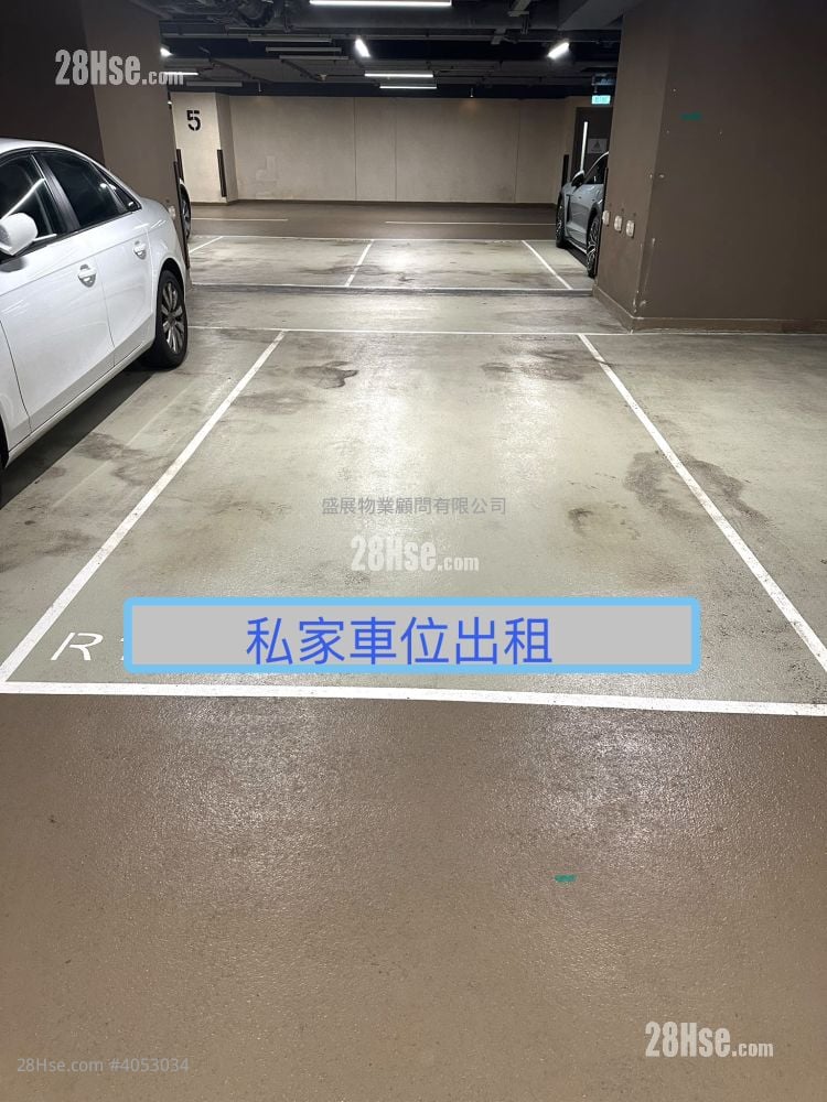 海之恋 租盘