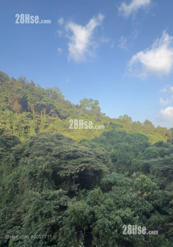 Le Mont Sell 2 Bedrooms , 1 Bathroom 424 ft²