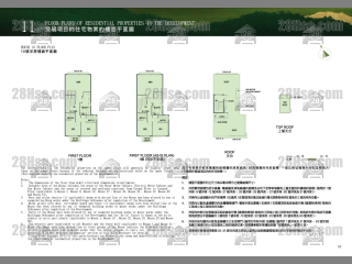 洋房10 平面图