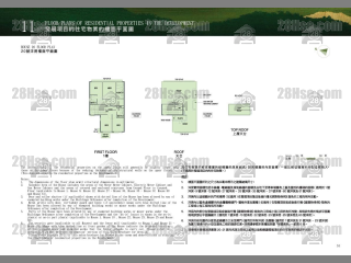 洋房20 平面图