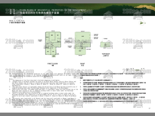 洋房21 平面图