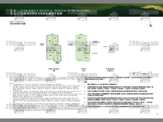 洋房5 平面图