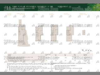 8号洋房 平面图