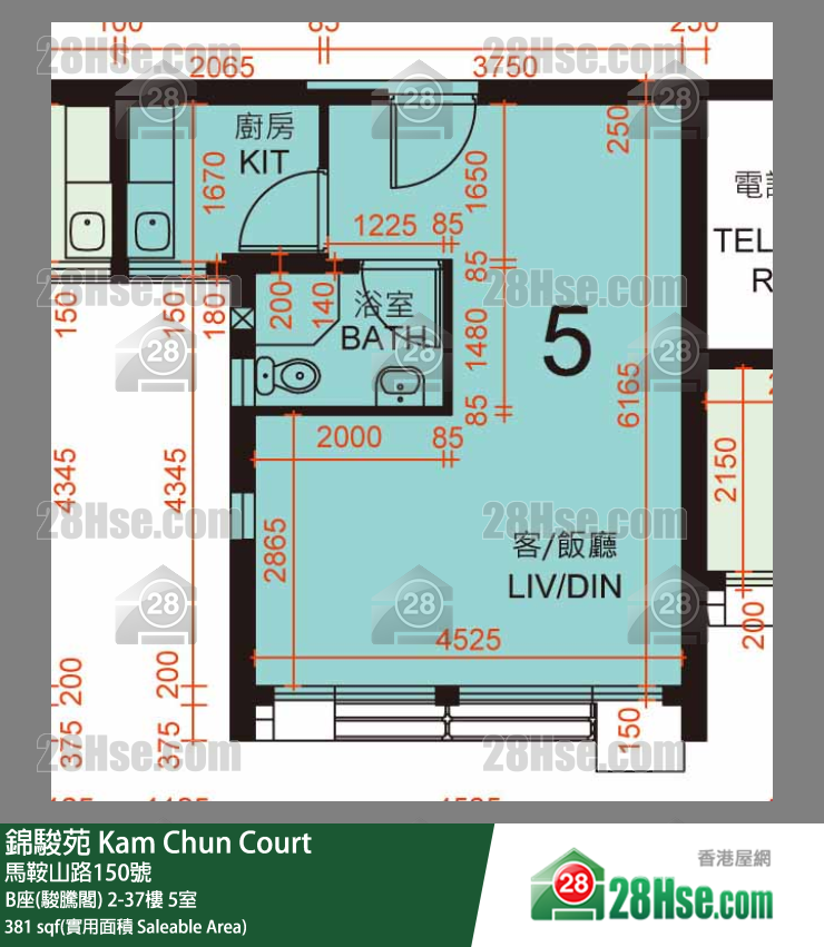 錦駿苑 B座(駿騰閣) 20樓 5室 平面圖