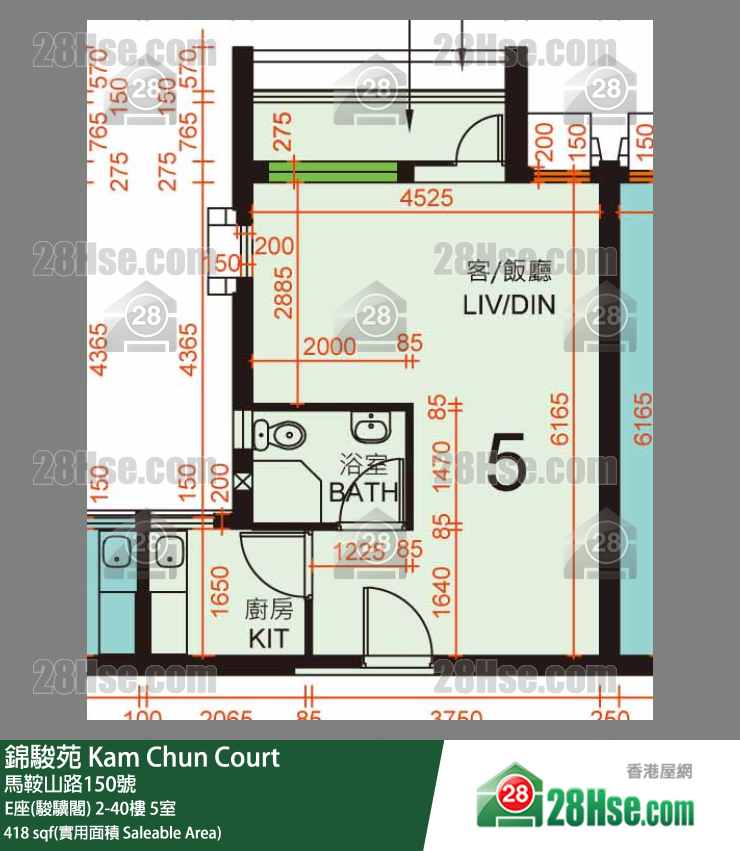 錦駿苑 E座(駿驥閣) 11樓 5室 平面圖