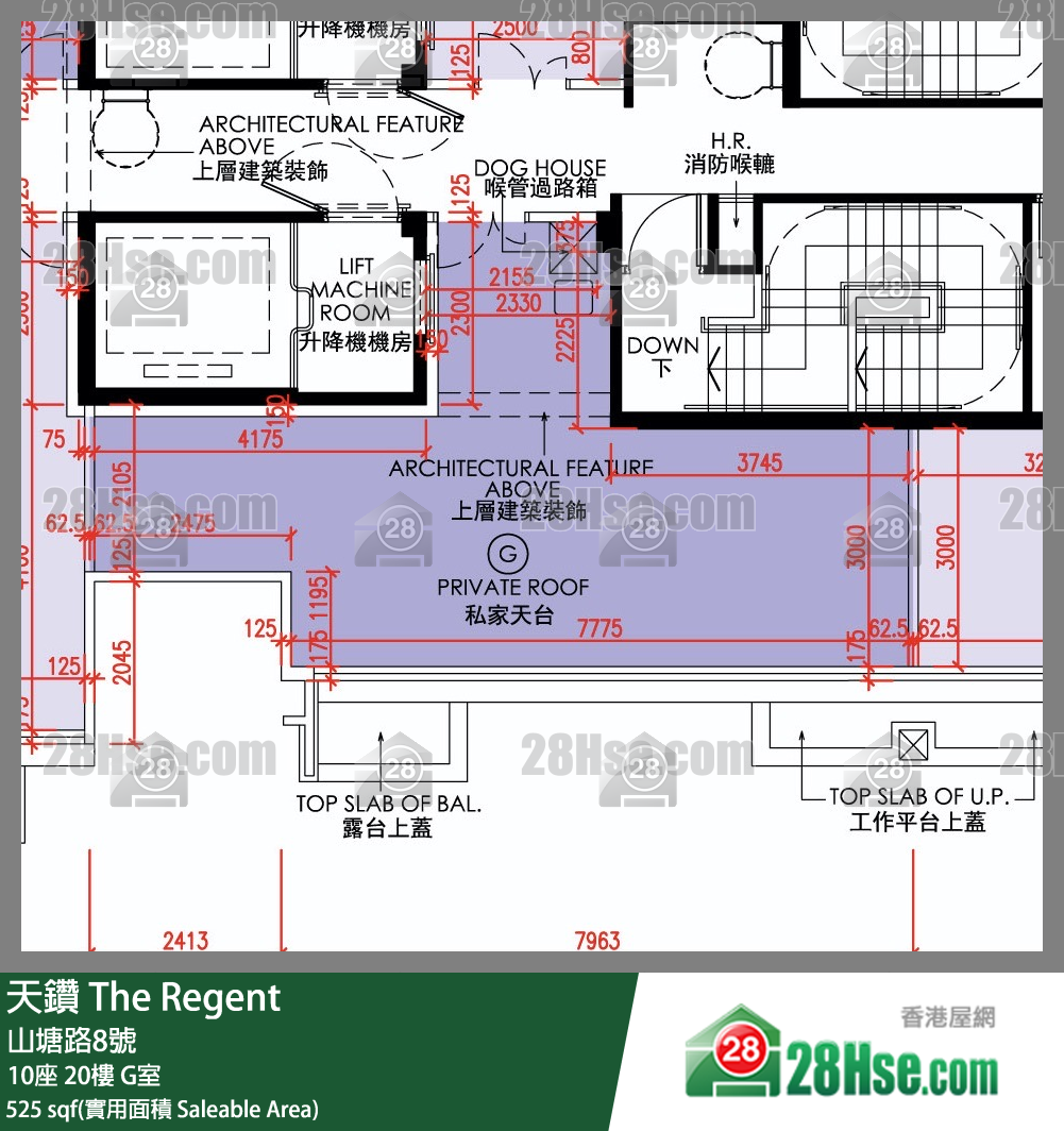 天鑽 10座 20樓 G室 平面圖