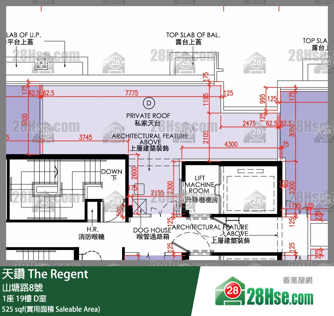 天鑽 1座 19樓 D室 平面圖