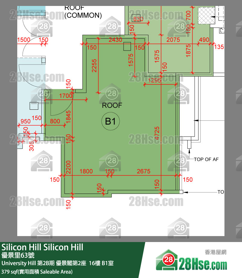 Silicon Hill, Flat B1, 16/F, Scenic Tower 2, Phase 2b FloorPlan