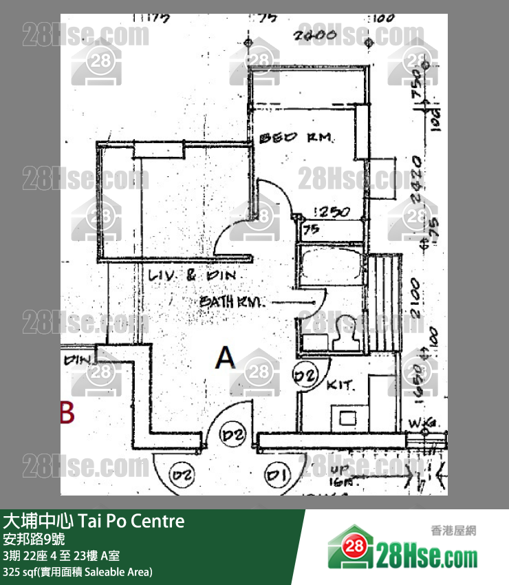 大埔中心 3期22座9樓 A室 平面圖