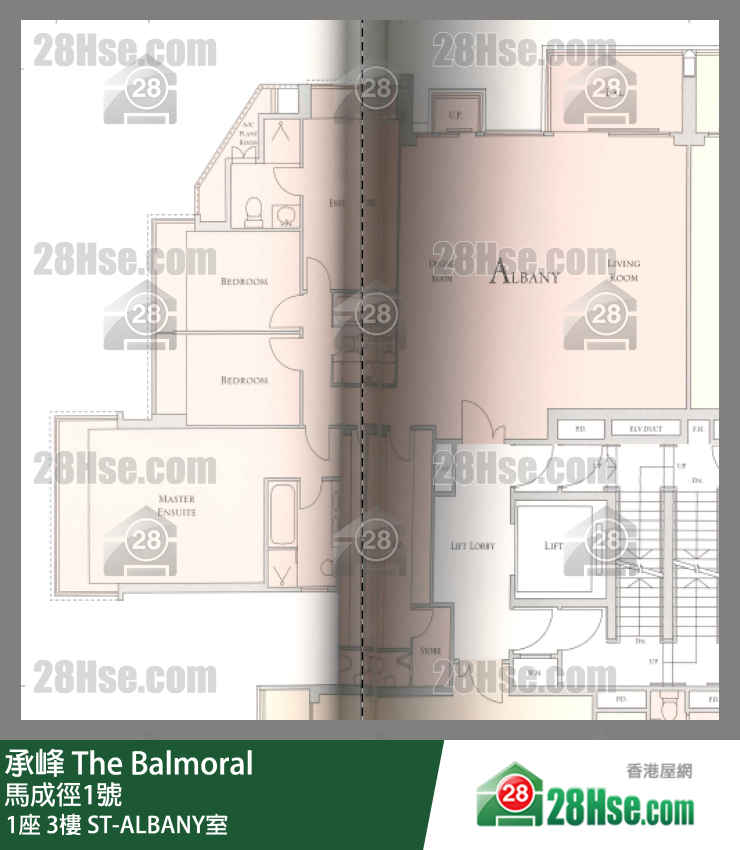 承峰 1座3樓 ST-ALBANY室 平面圖