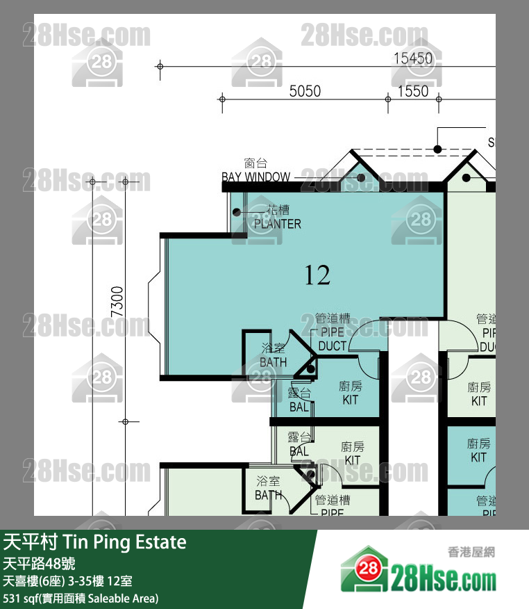 天平村 單位平面圖(由 28Hse 提供)