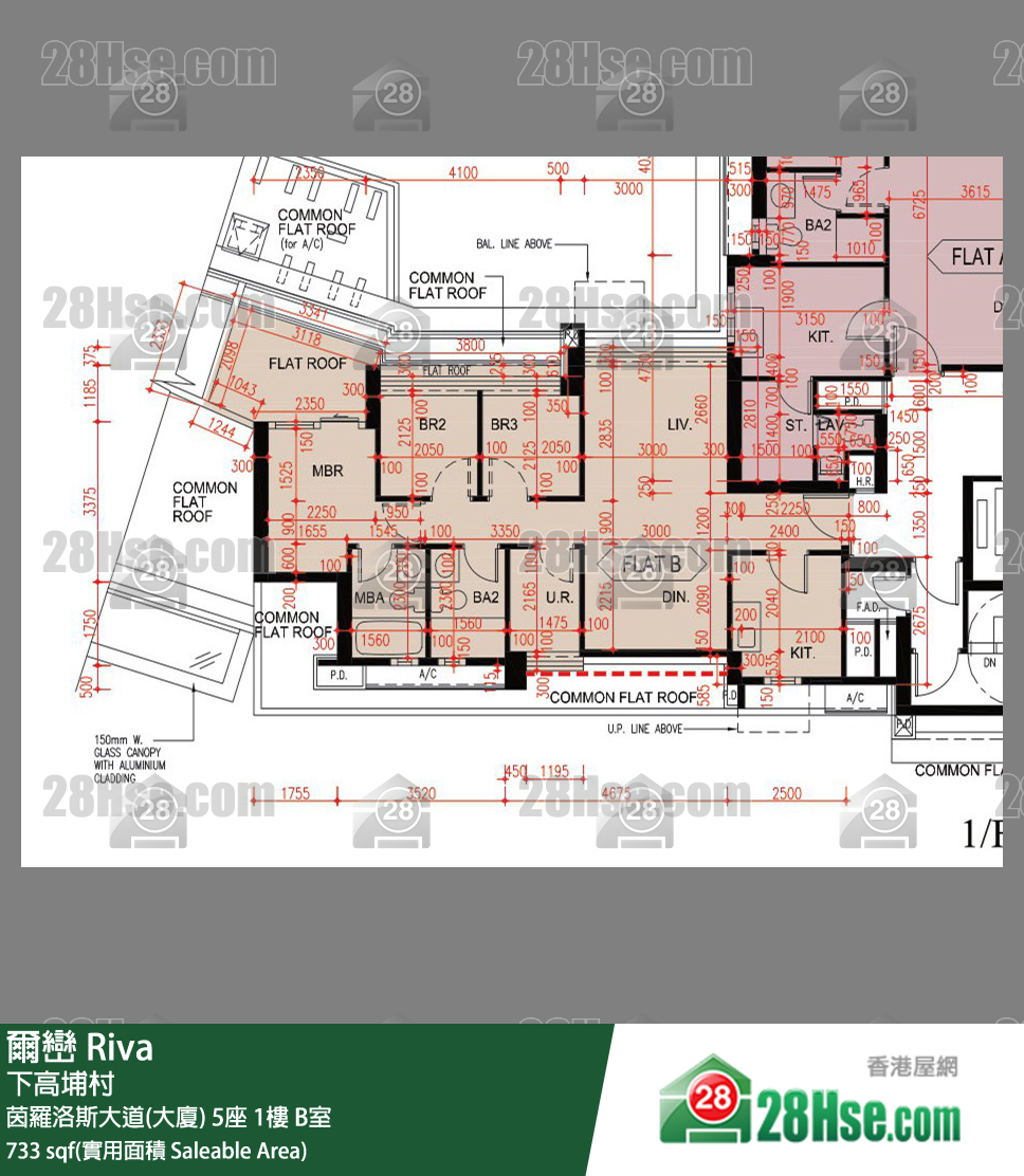 爾巒 茵羅洛斯大道(大廈)5座1樓 B室 平面圖