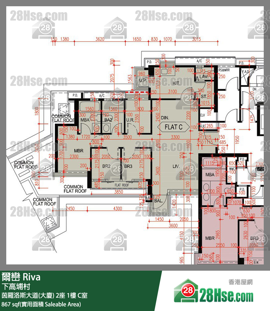 爾巒 茵羅洛斯大道(大廈)2座1樓 C室 平面圖