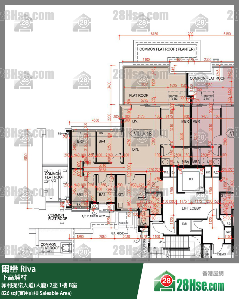 爾巒 菲利提諾大道(大廈)2座1樓 B室 平面圖