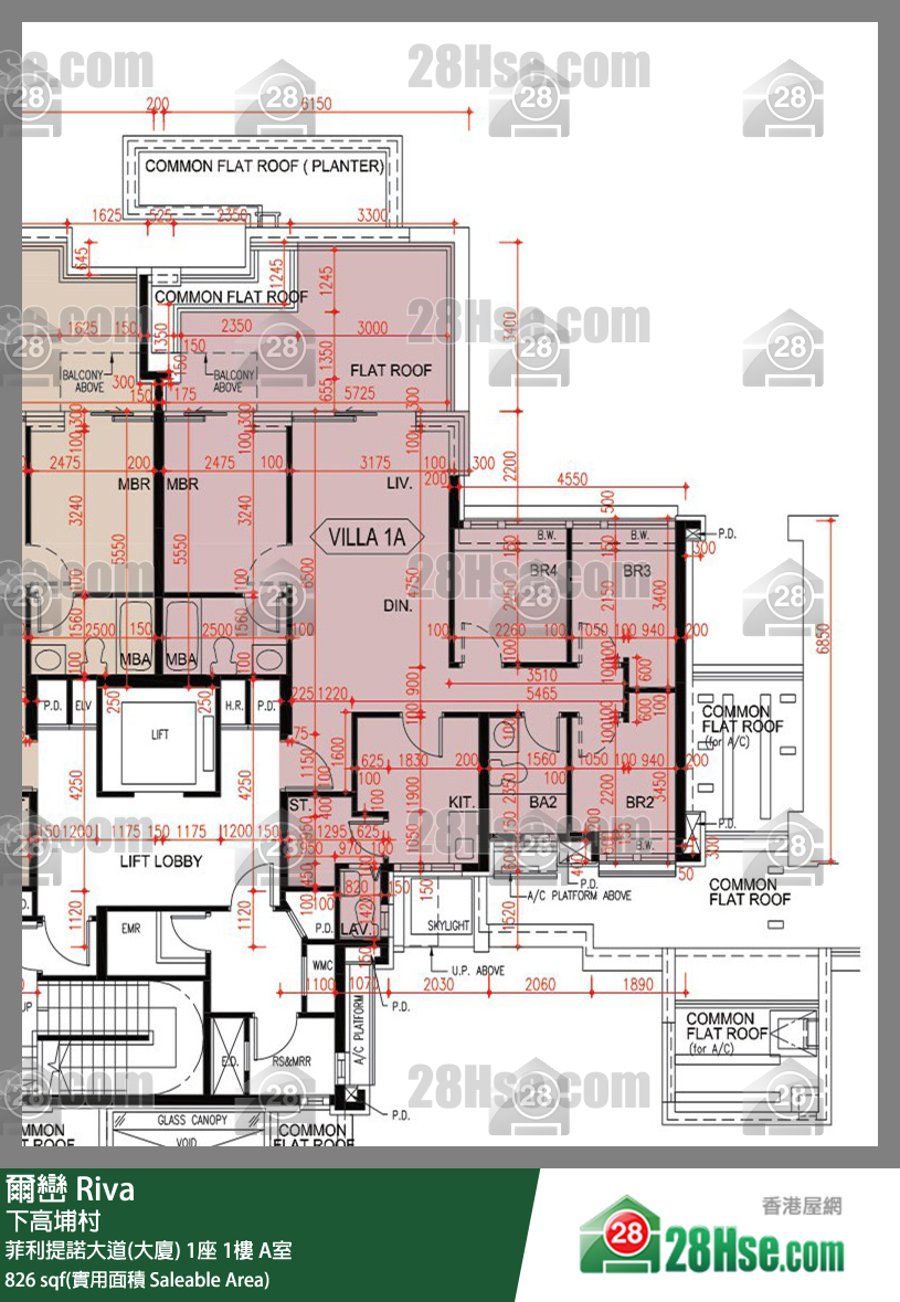 爾巒 菲利提諾大道(大廈) 1座 1樓 A室 平面圖