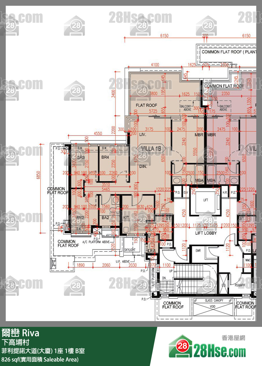爾巒 菲利提諾大道(大廈) 1座 1樓 B室 平面圖