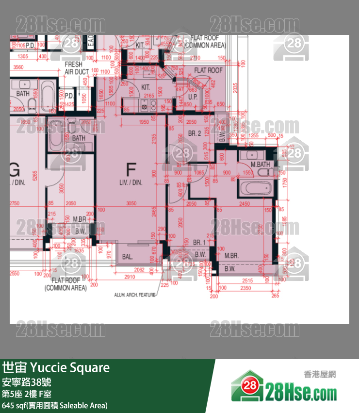 世宙 第5座2樓 F室 平面圖