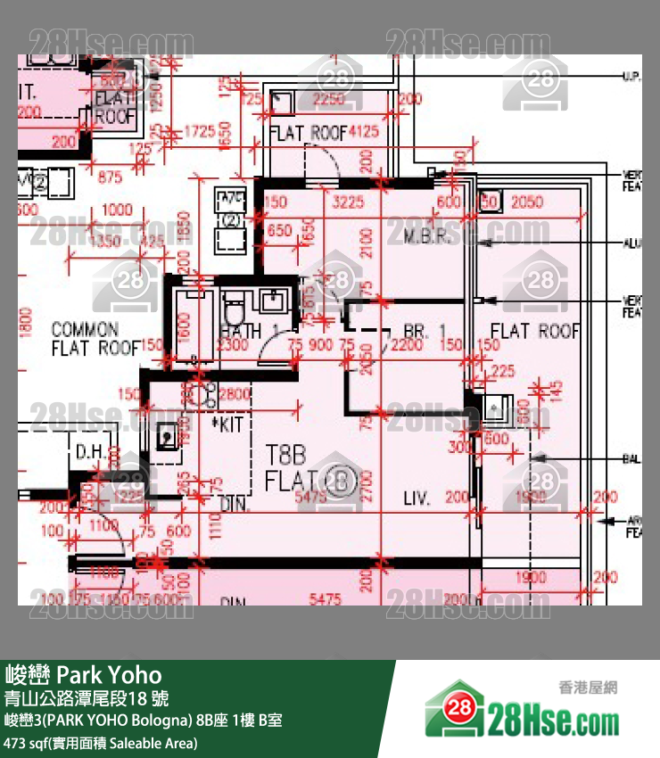 峻峦 峻峦3(PARK YOHO Bologna)8B座1楼 B室 平面图