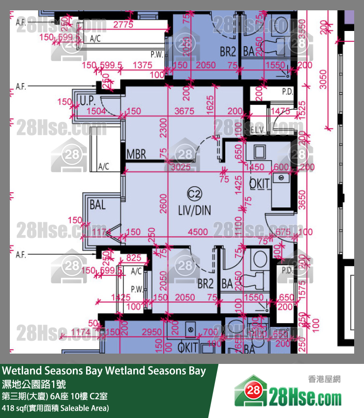 Wetland Seasons Bay 第三期(大廈)6A座10樓 C2室 平面圖