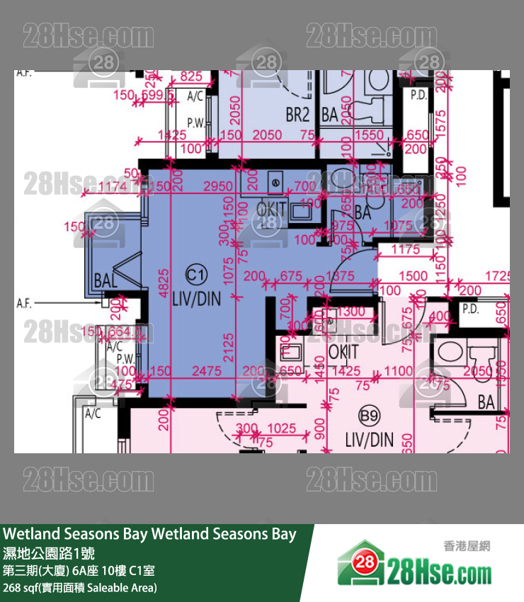 Wetland Seasons Bay 第三期(大廈) 6A座 10樓 C1室 平面圖