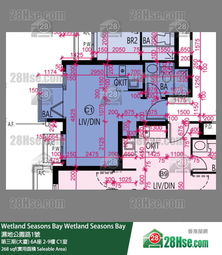 Wetland Seasons Bay 单位平面图(由 28Hse 提供)