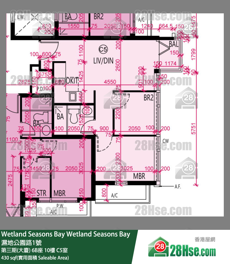 Wetland Seasons Bay 第三期(大廈) 6B座 10樓 C5室 平面圖