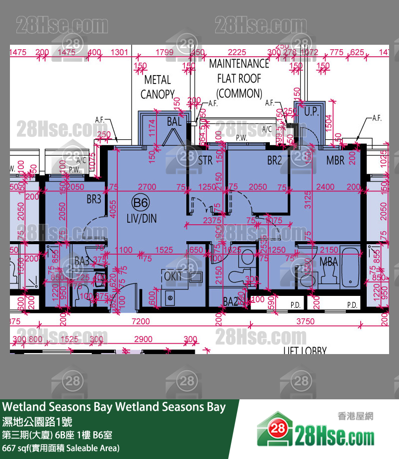 Wetland Seasons Bay 第三期(大廈) 6B座 1樓 B6室 平面圖