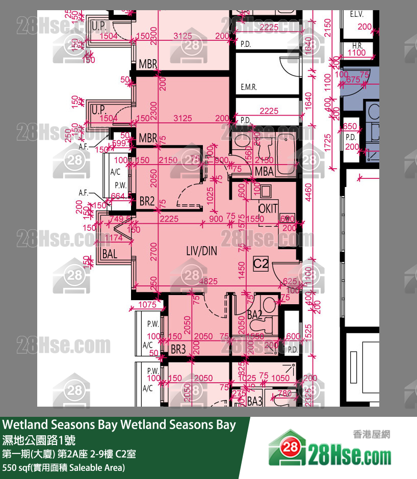 Wetland Seasons Bay 單位平面圖(由 28Hse 提供)
