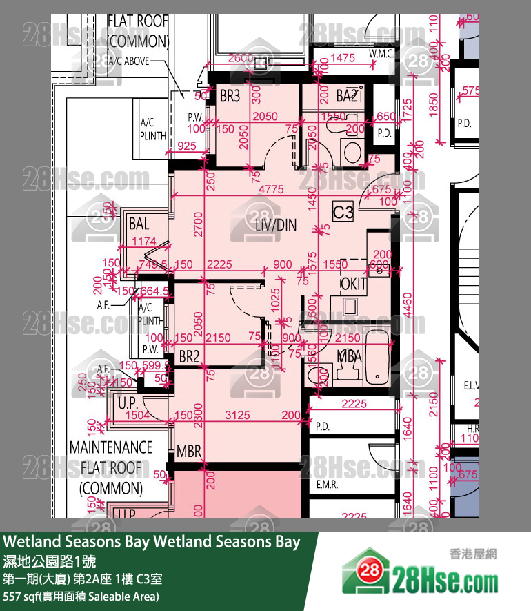 Wetland Seasons Bay 第一期(大厦) 第2A座 1楼 C3室 平面图