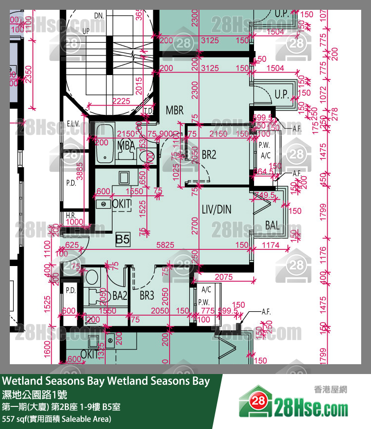Wetland Seasons Bay 第一期(大廈) 第2B座 8樓 B5室 平面圖
