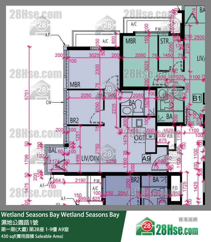 Wetland Seasons Bay 第一期(大廈) 第2B座 2樓 A9室 平面圖