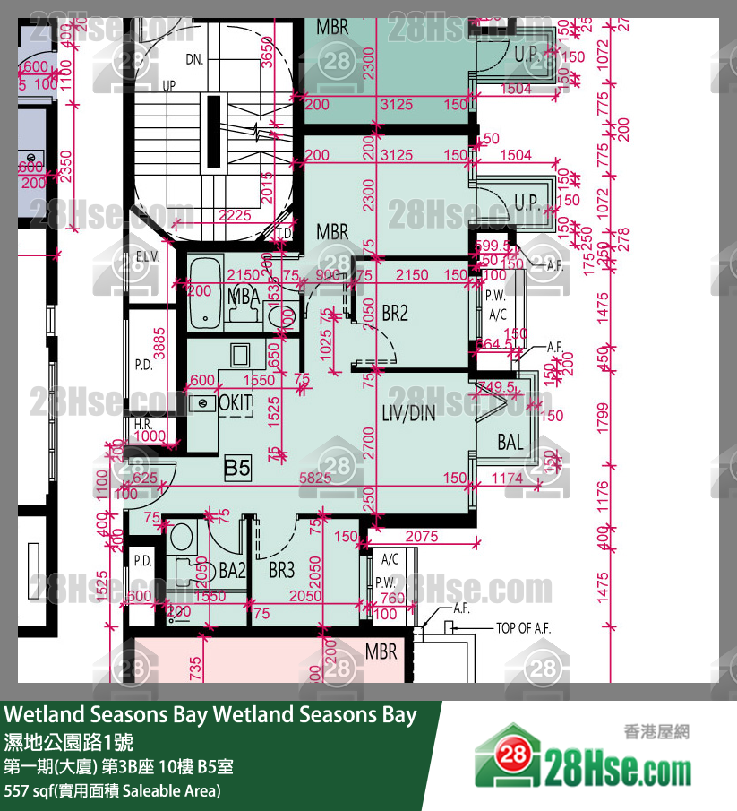 Wetland Seasons Bay 第一期(大廈) 第3B座 10樓 B5室 平面圖