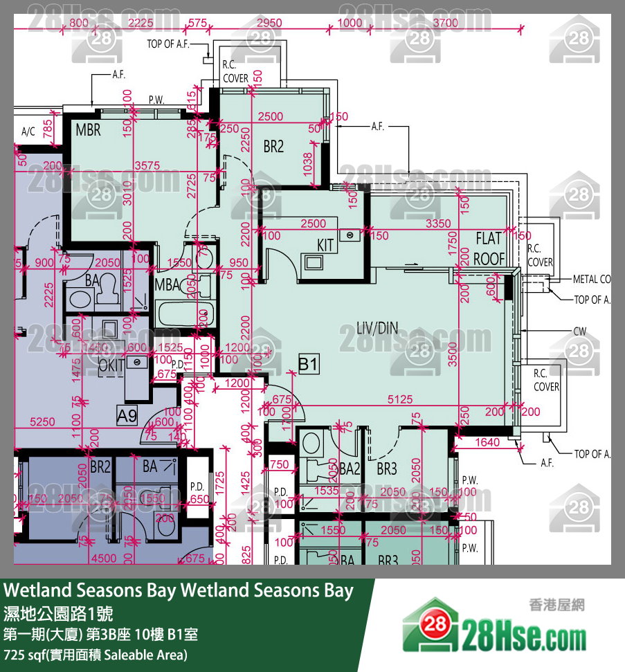 Wetland Seasons Bay 第一期(大廈)第3B座10樓 B1室 平面圖